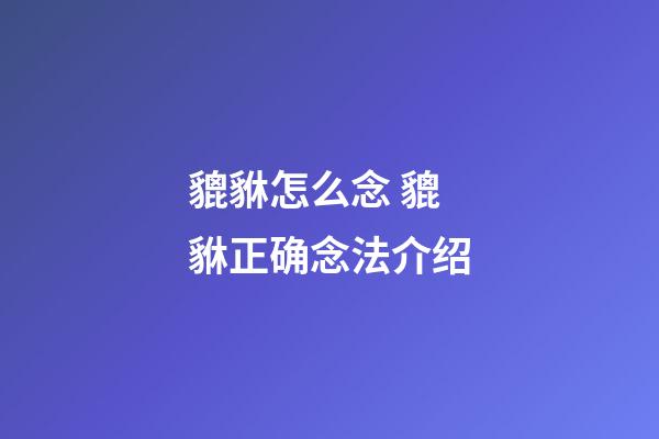 貔貅怎么念 貔貅正确念法介绍
